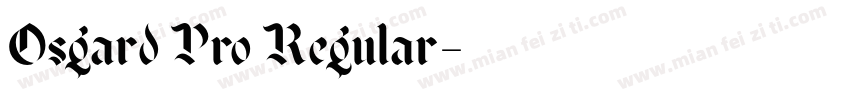 Osgard Pro Regular字体转换